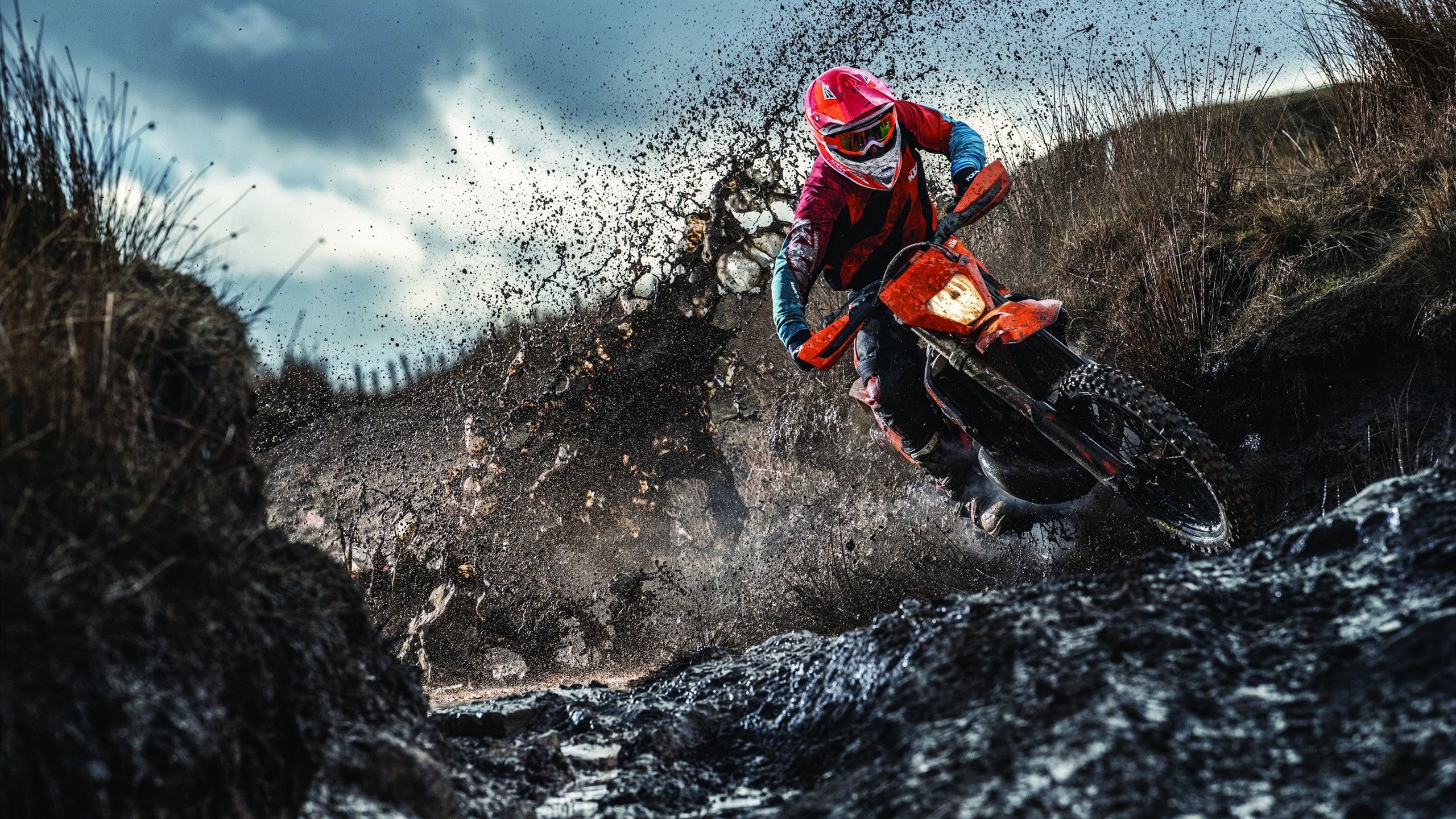 凯莉·麦基翁决赛冲线瞬间震撼全场，凯莉.麦基翁