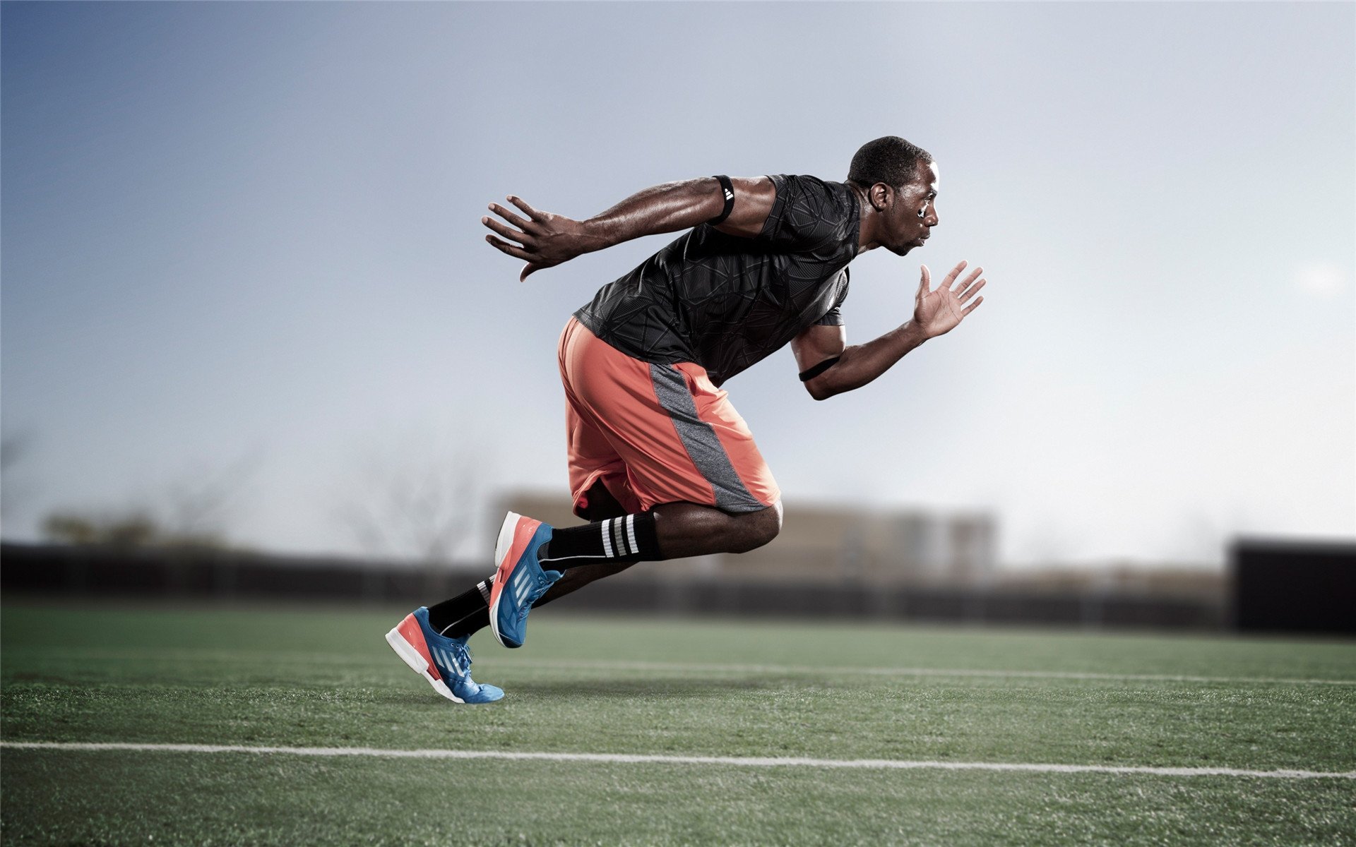 决赛焦点之一:贾瓦迪挑战世界强者,贾亚瓦德纳